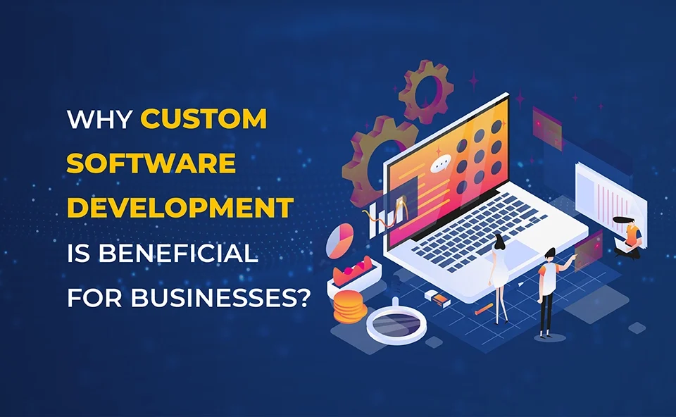 Custom-Software-development