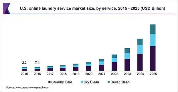 Online Laudary service market size